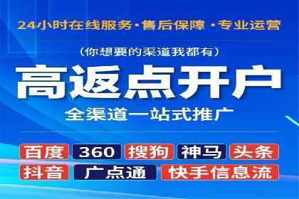 案例分析：百度推广效果优化技巧